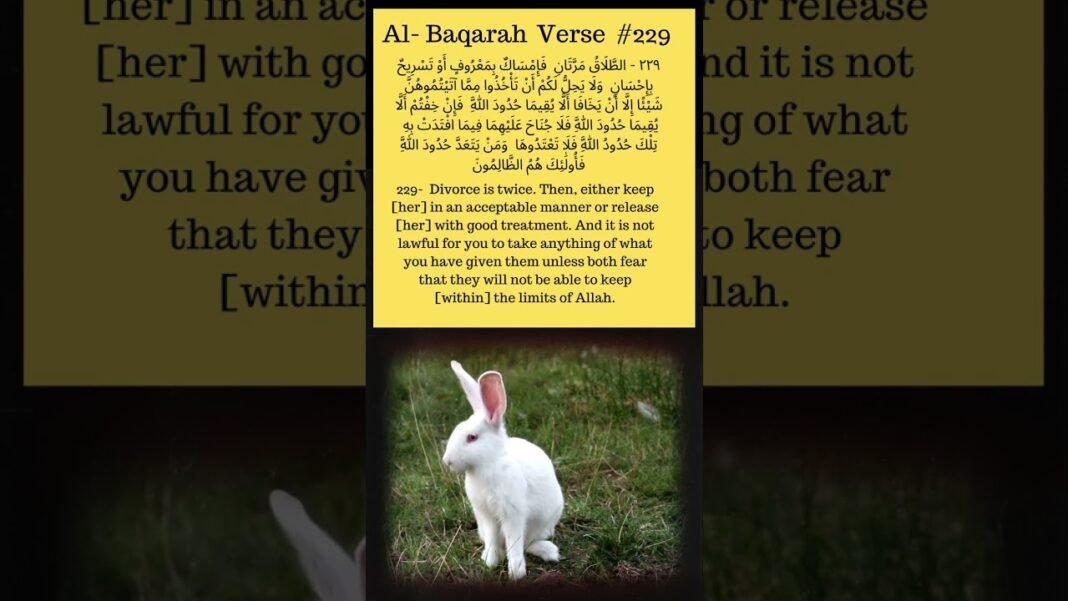 Discover the Quran’s Most Powerful Teachings